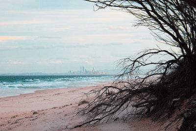 Scenic view of beach against sky