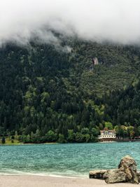 Scenic view of forest against mountains