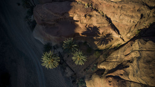 High angle view of rocks on land