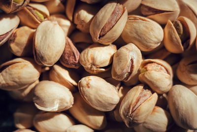 Close-up of shells