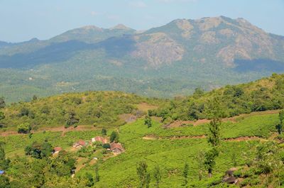 Scenic view of mountains