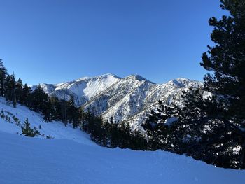 Scenic view of snowcapped mountains against clear blue sky