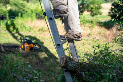 Mans feet in work boots  climbing ladder with cut branches and chainsaw
