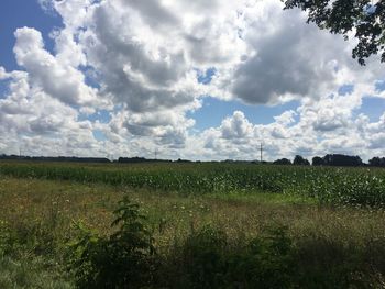 Scenic view of field against sky