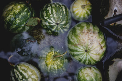 High angle view of watermelons for sale at market