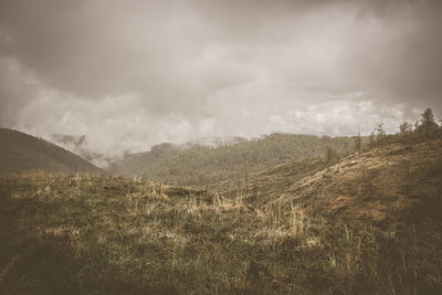 Scenic view of landscape against sky