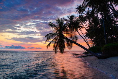 Silhouette palm tree by sea against sky during sunset