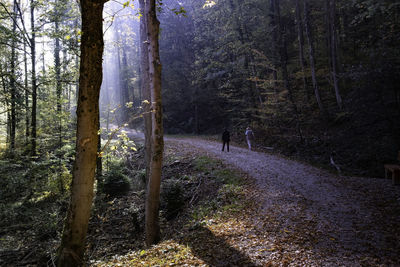 Man walking amidst trees in forest