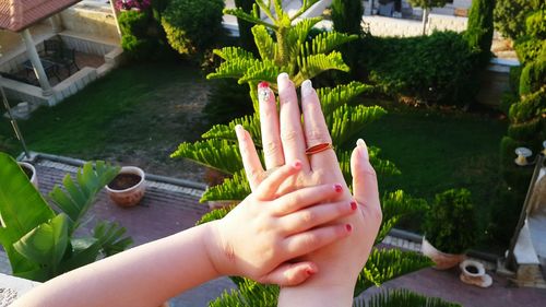 High angle view of woman hand holding plant