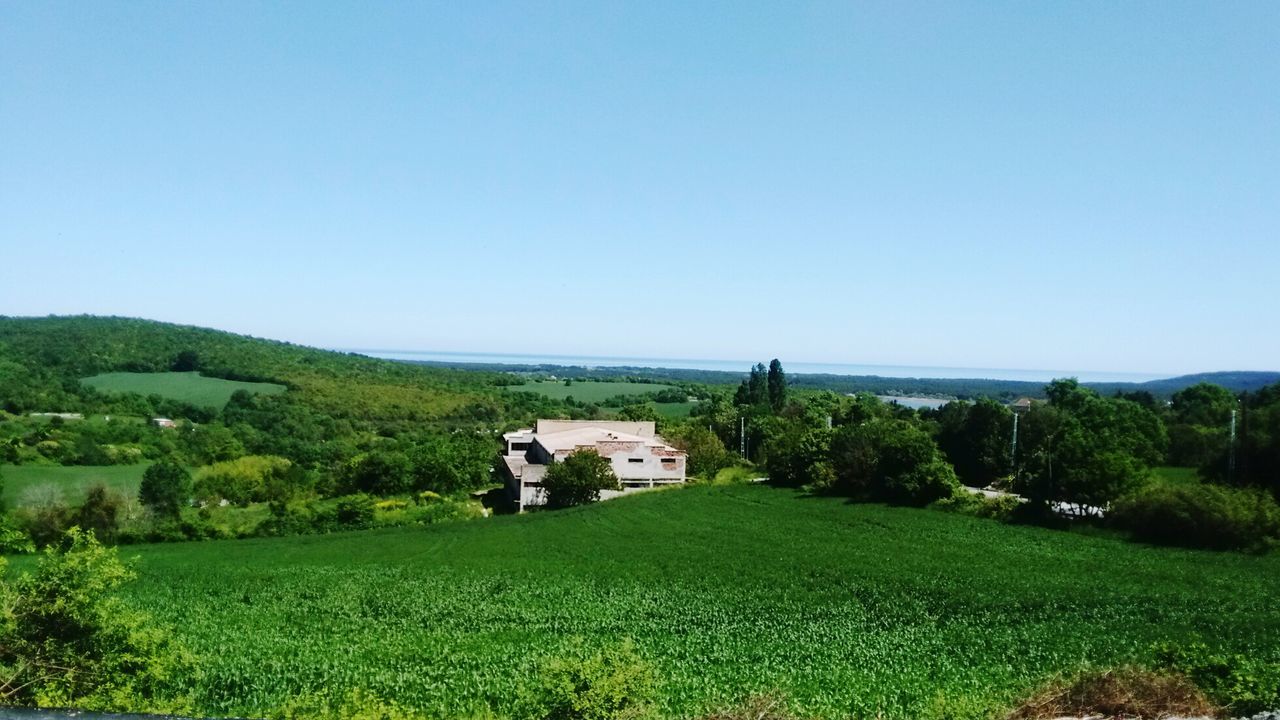 house, field, architecture, landscape, built structure, tranquil scene, clear sky, copy space, rural scene, building exterior, green color, scenics, grass, country house, nature, tree, no people, day, agriculture, outdoors, beauty in nature, residential building, blue, farmhouse, sky