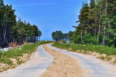 Road amidst trees against sky