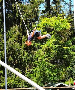 Man climbing on tree