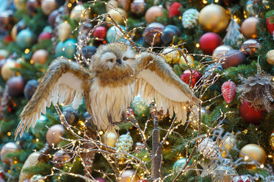 Christmas or new year composition, christmas decoration close-up on a background of lights