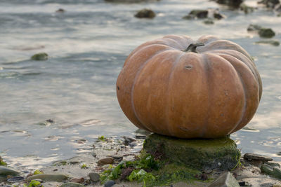 Close-up of pumpkin on beach