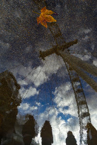 Reflection of trees on puddle during autumn