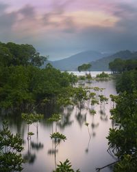 Scenic view of lake by trees against sky