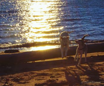 People standing on beach by sea against sky during sunset