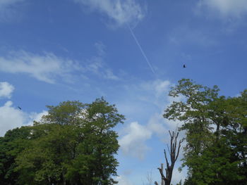 sky