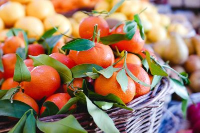 Close-up of fruits in basket