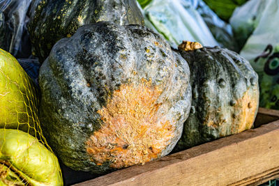 Close-up of pumpkin