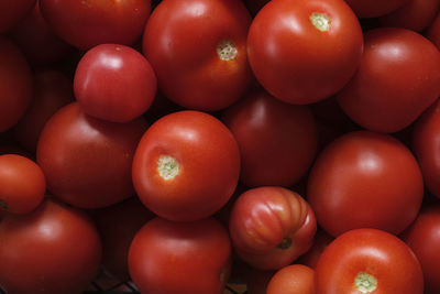 Full frame shot of tomatoes