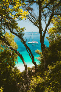 Scenic view of sea against trees