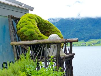 Moss covered rock on wooden chair against lake