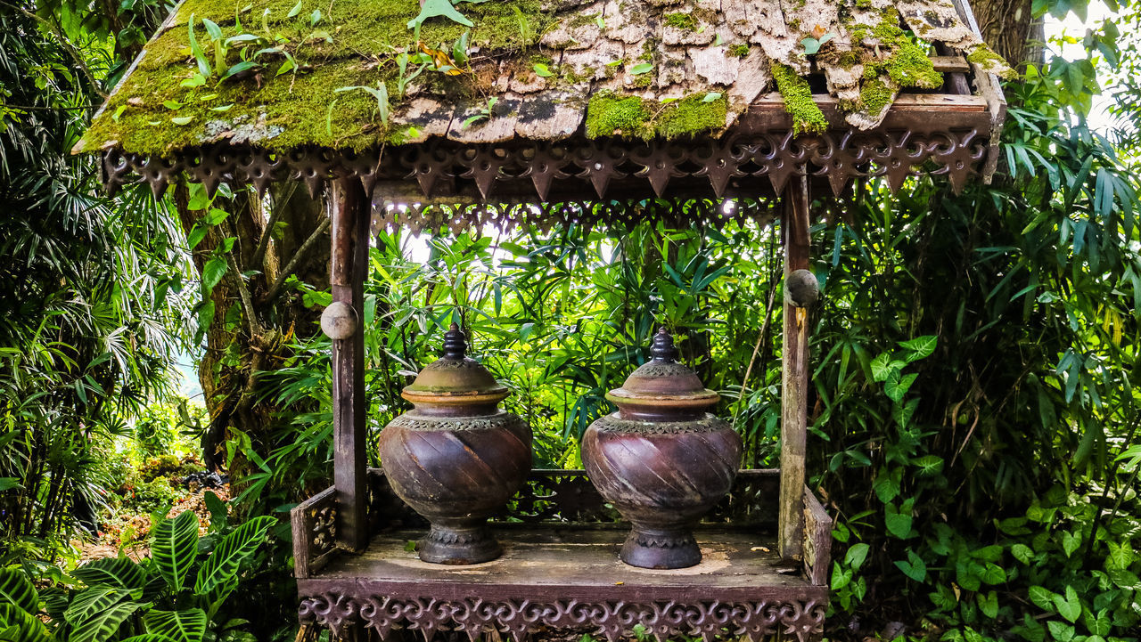 VIEW OF BIRDS IN BACKYARD