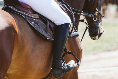 Horse jumping, equestrian sports themed photo.