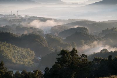 Scenic view of trees and mountains against sky