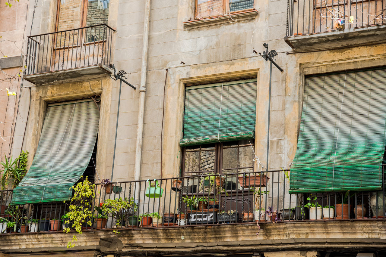 LOW ANGLE VIEW OF POTTED PLANTS ON BALCONY OF BUILDING