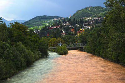 High angle view of river amidst trees