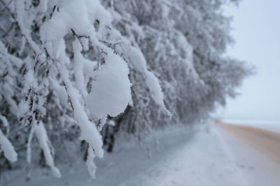 Close-up of snow covered land against sky
