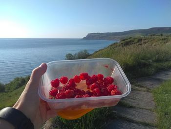 Hand holding strawberry by sea against sky