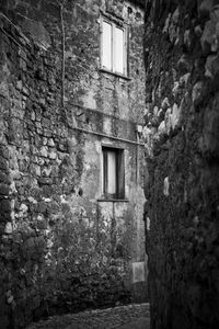 Low angle view of ivy on building