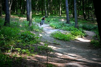 Man riding bicycle on dog in forest