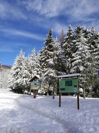 Snow covered trees against sky