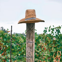 Close-up of wooden post on fence with a hat