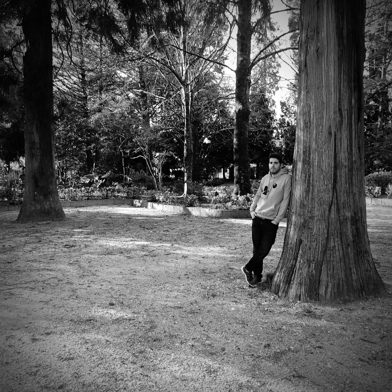 real people, tree, tree trunk, one person, full length, leisure activity, lifestyles, walking, rear view, day, nature, casual clothing, outdoors, growth, standing, people