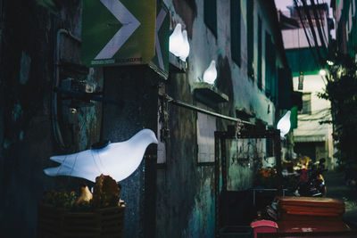 View of an animal hanging on building