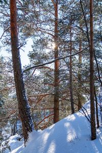 Scenic view of snow covered land during winter