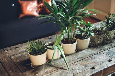 Close-up of pot on table