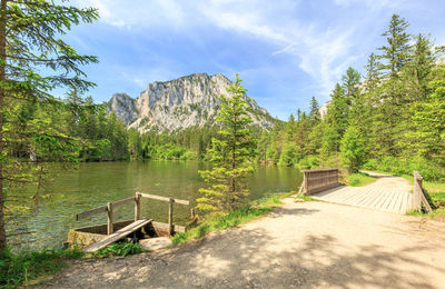 Scenic view of trees and mountains against sky