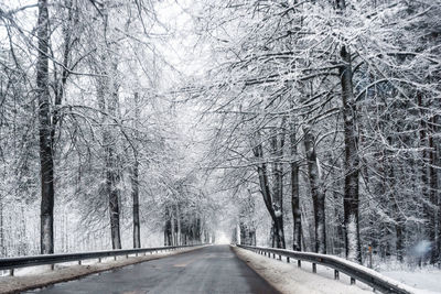 Snowy winter road in the forest during the day.