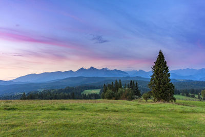 Scenic view of field against sky during sunset