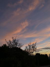 Low angle view of silhouette trees against sky during sunset