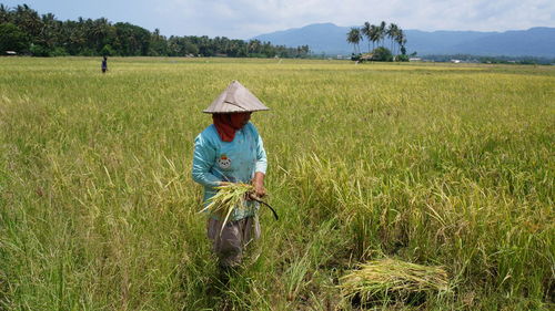 Woman holding sickle while standing in farm against sky