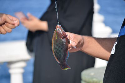 Midsection of man holding fish