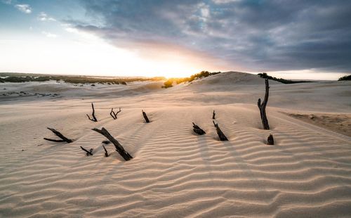 Scenic view of beach against sky during sunset