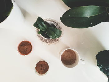 High angle view of coffee on table